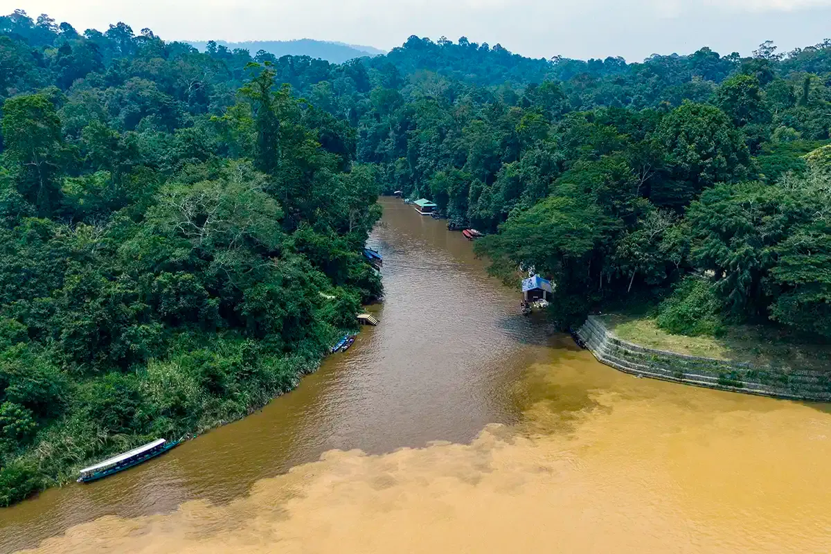 River and rainforest scenery near Kuala Tahan in Taman Negara, Pahang
