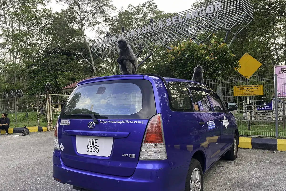 My Little Taxi vehicle at Kuala Selangor Nature Park during a private day trip from Kuala Lumpur